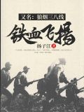 铁血飞扬（又名：狼烟三八线）