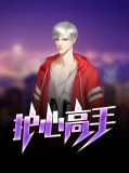 护心高手