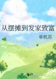 从摆摊到发家致富