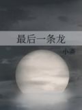 最后一条龙