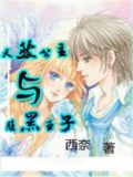 腹黑公主的绝版王子