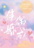 佳偶婚成