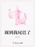 踩到我尾巴了