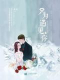 只为遇见你