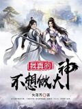 我真的不想做大神