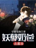 妖孽奶爸在都市