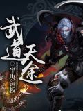 武道天途小说免费阅读