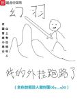 我的外挂跑路了