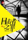 目击者之罪