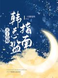 关于攻略韩总监指南