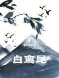 白鸾尾花的寓意和象征