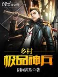 极品乡村高手全文阅读
