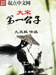 大宋第一太子小说