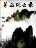 茅山风云录
