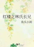 红楼之林氏长兄