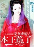 宠妻成瘾之本王跪了