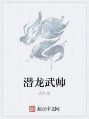 潜龙武帅