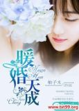 暖婚天成
