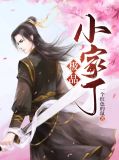 极品小家丁