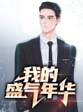 我的盛气年华