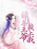 穿越：绿茶王爷赖上我