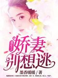 重生之娇妻别想逃