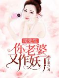 司先生，你老婆又作妖了