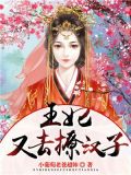 王妃又去撩汉子