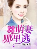 猎妻成瘾：萌妻哪里逃