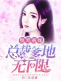 腹黑萌娃：总裁爹地无下限