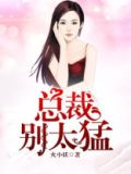 总裁别太猛