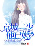 宠妻入骨:京城二少他已婚