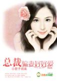 总裁骗妻好好爱
