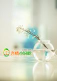 一炮而红【已签约出版】