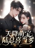  天降萌宝，陆总喜当爹