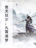 傲天狂少：九霄逐梦
