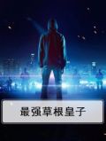 最强草根皇子