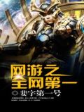 网游之全网第一