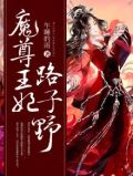 魔尊王妃路子野