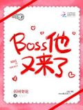 boss他又来了完整版