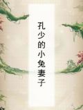孔少的小兔妻子