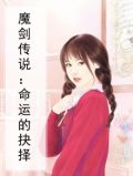 魔剑传说：命运的抉择