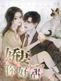 娇妻你好甜