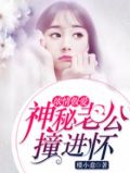顶级宠婚：高冷老公惹不起