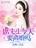 席先生今天要离婚吗