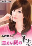 权少的专属逃妻