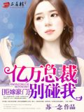 拒嫁豪门：亿万总裁别碰我
