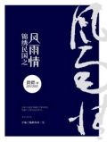 锦绣民国之风雨情