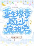 重生撩妻顾少偏执宠