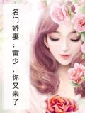 名门娇妻：雷少，你又来了